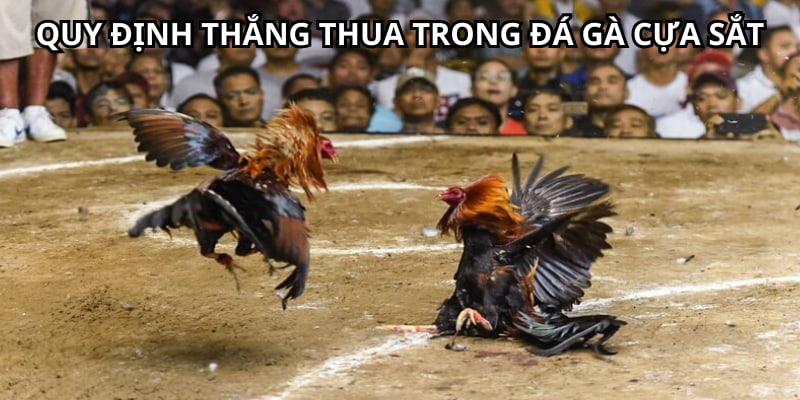 Quy định thắng thua trọng thể loại chọi kê cửa sắt